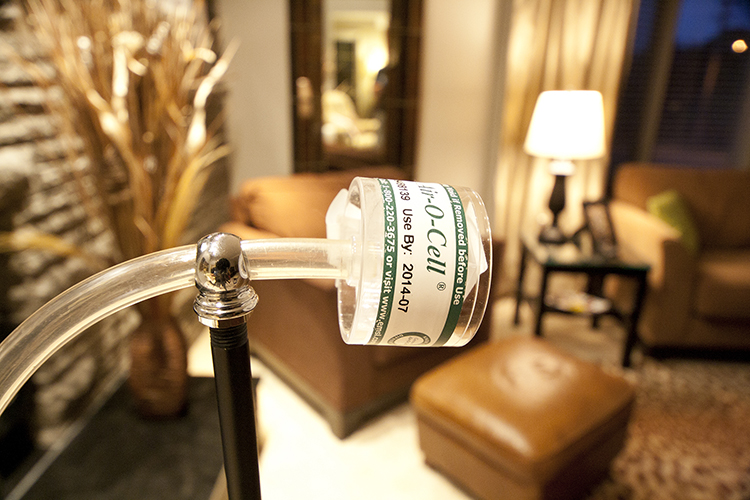 AIR SAMPLING Las Vegas Mold Test